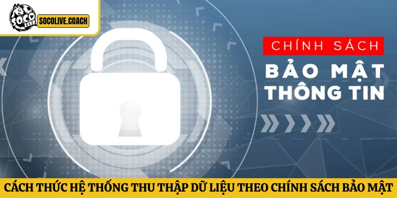 Cách thức hệ thống thu thập dữ liệu theo chính sách bảo mật của Socolive