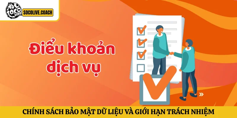 Chính sách bảo mật dữ liệu và giới hạn trách nhiệm theo điều khoản dịch vụ
