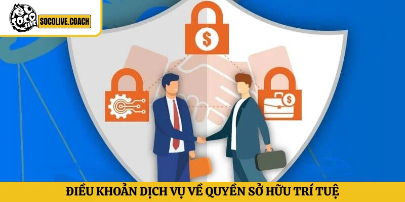 Điều khoản dịch vụ về quyền sở hữu trí tuệ và chính sách bản quyền nội dung