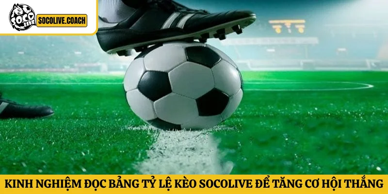Kinh nghiệm đọc bảng tỷ lệ kèo Socolive để tăng cơ hội chiến thắng